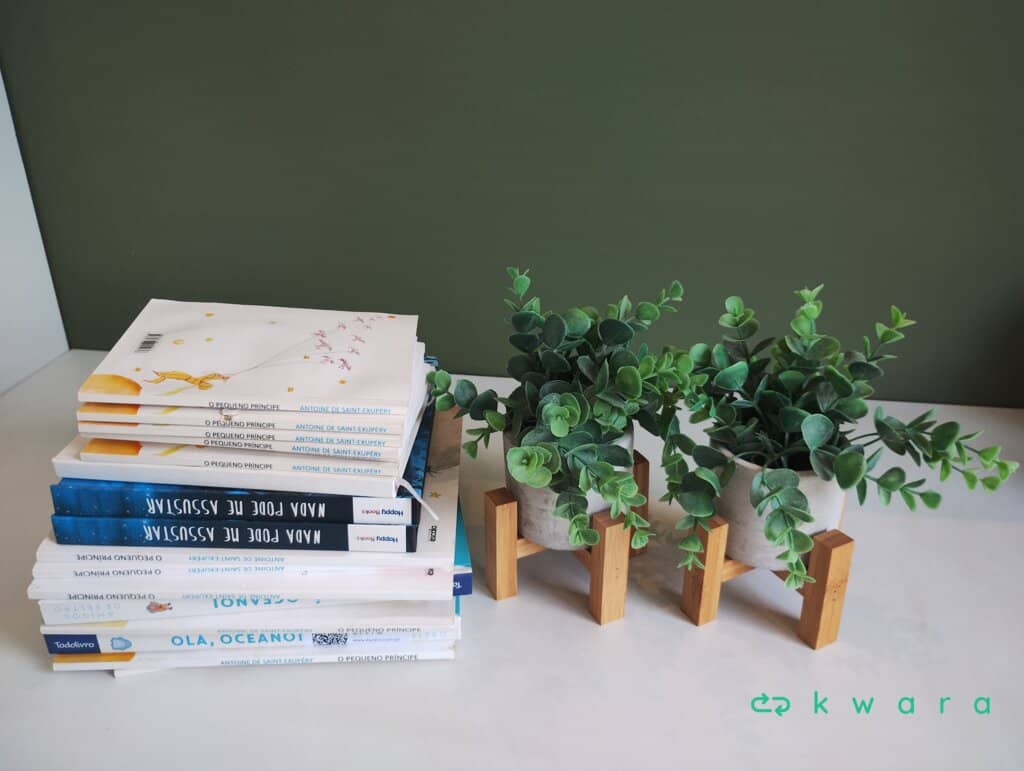 15 Livros e 2 Vasos - foto 1