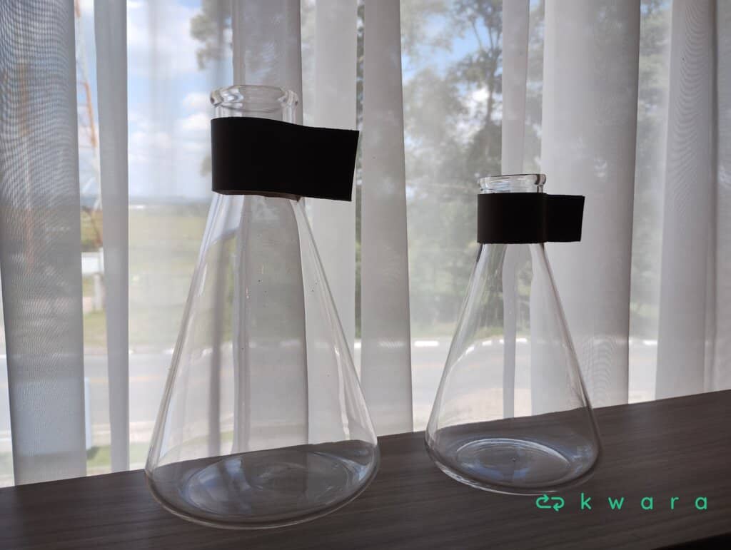 2 Vasos - foto 1