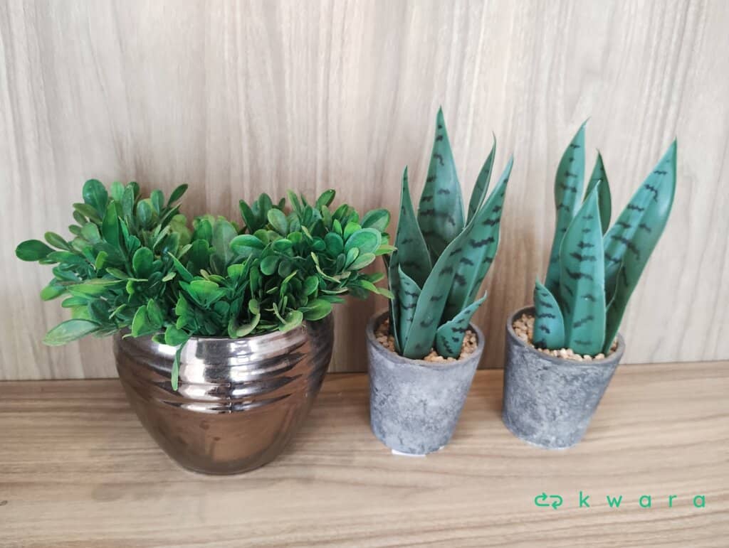 3 Vasos - foto 1
