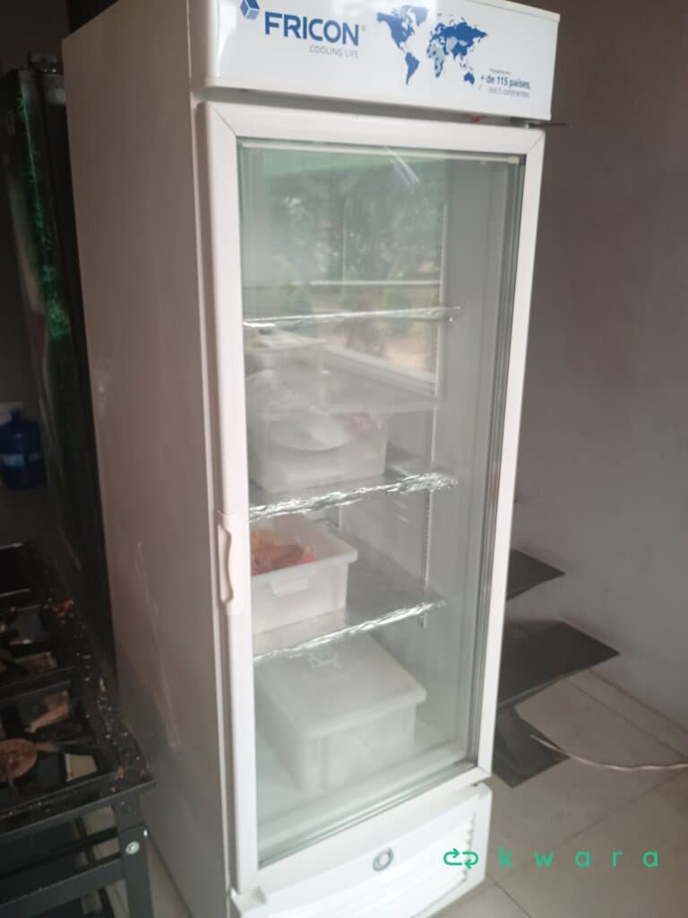 Freecom 3 em 1 (Refrigerador, Freezer e Saco de Gelo) 220V - foto 1