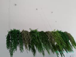 Jardim Suspenso - foto 2
