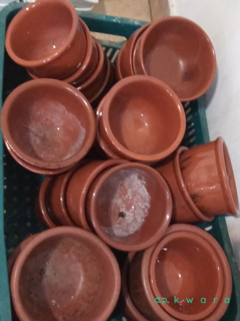 Combucas  - Aprox. 30 Pçs - foto 2