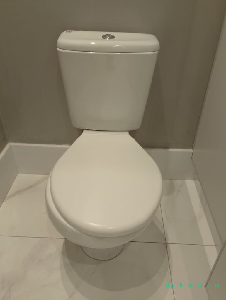 Vaso Sanitário - foto 1