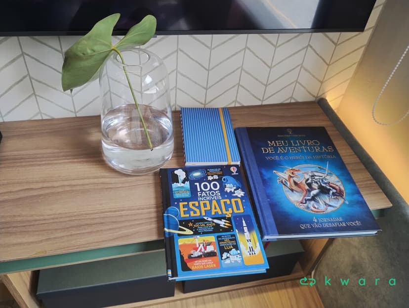 2 Caixas, 2 Livros e Vaso - foto 1