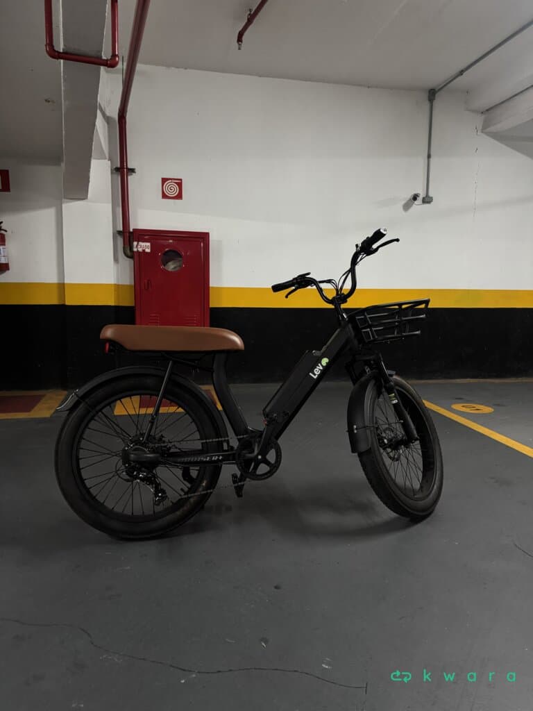 E-bike Lev Cruiser + - foto 1