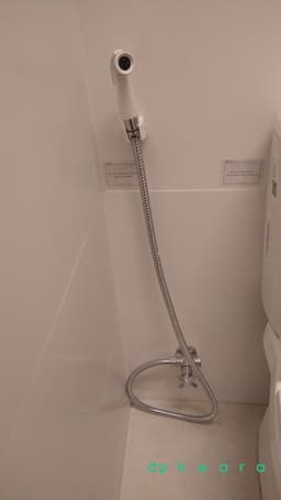 Chuveiro e Ducha Higiênica - foto 2