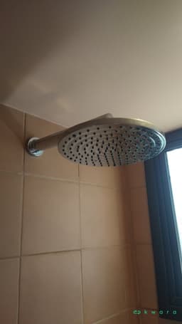Anteparo, Chuveiro e Acabamento de Misturador - foto 2