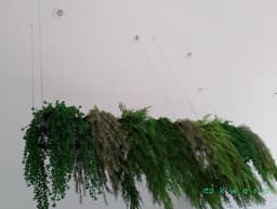 Jardim Suspenso - foto 1