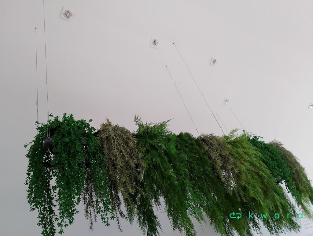 Jardim Suspenso - foto 1