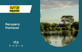 Recupera Pantanal - Onçafari