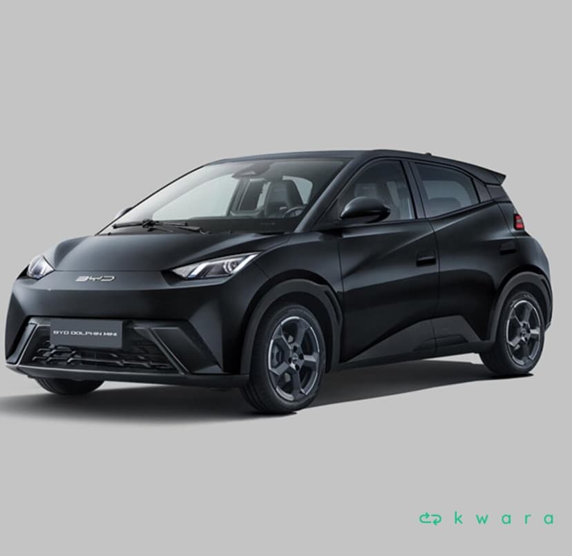 BYD Dolphin Mini Blindado pela Carbon - foto 1