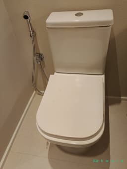 Vaso sanitário Deca com caixa acoplada e ducha higiênica - foto 1