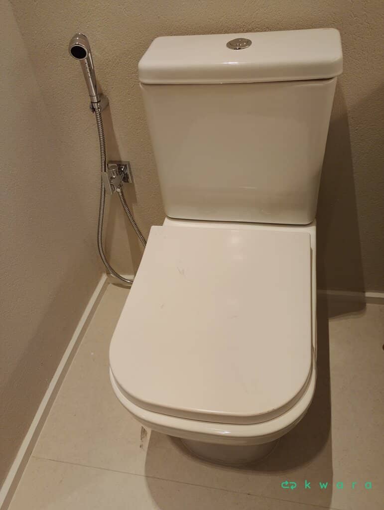 Vaso sanitário Deca com caixa acoplada e ducha higiênica - foto 1
