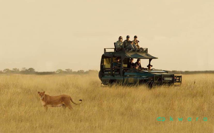 Safári Inesquecível em Botsuana - África - foto 1