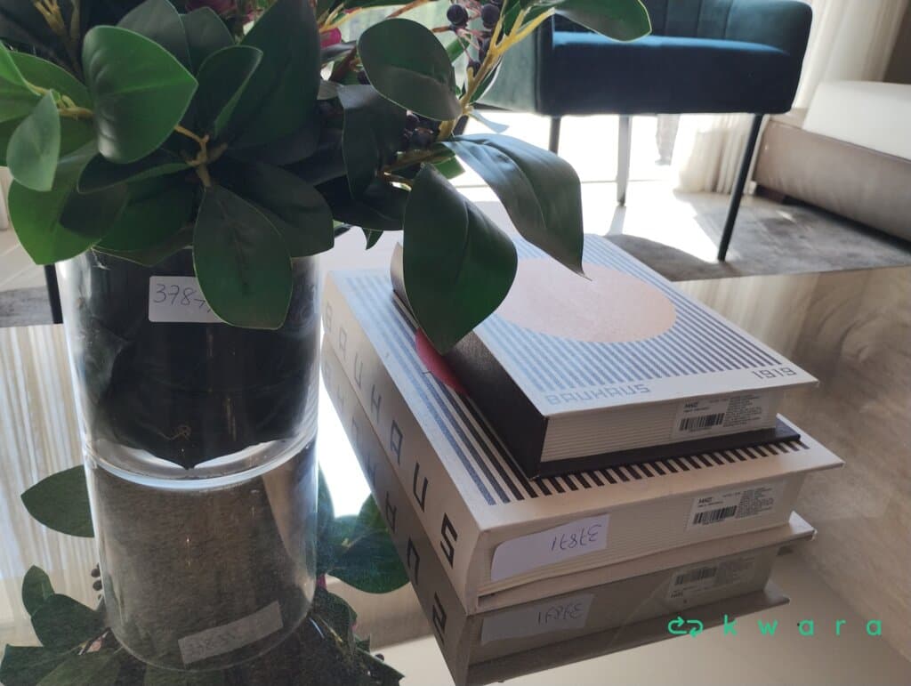 2 Livros caixa e Vaso - foto 2
