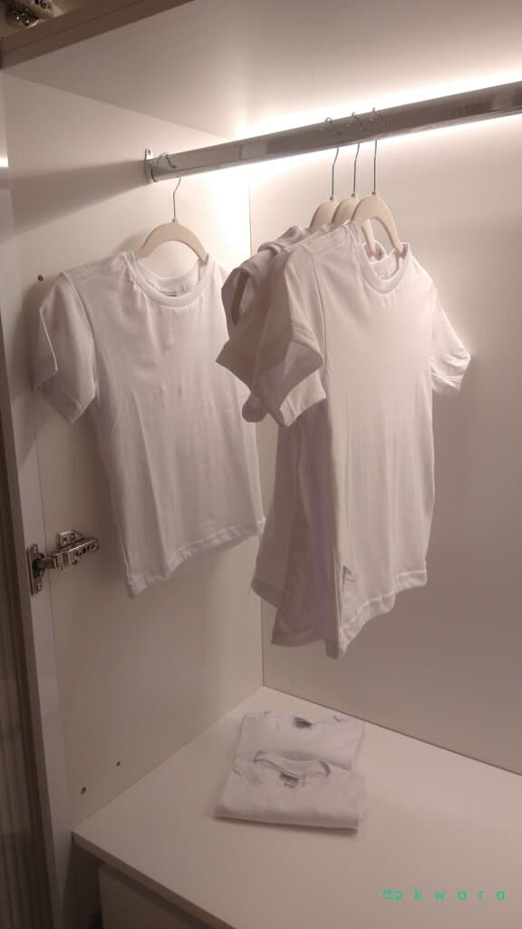 6 Blusas, 2 Toalhas e Almofada - foto 1