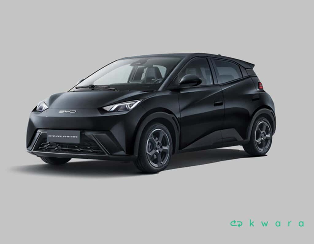 BYD Dolphin Mini Blindado pela Carbon - foto 3